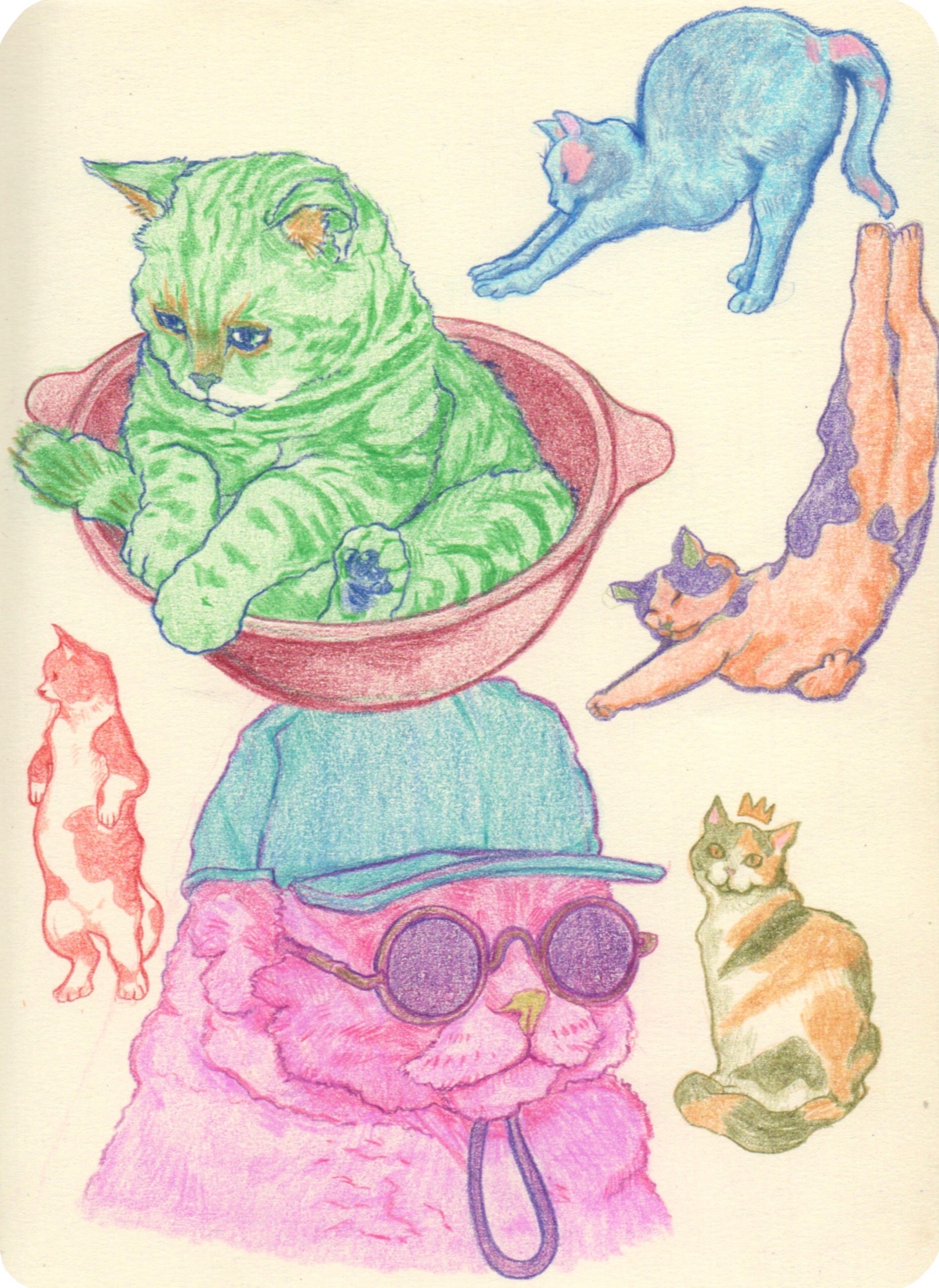 Sketches
